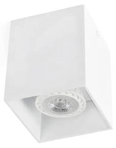 BELA STROPNA SVETILKA TECTO 1 X GU10 FR63270