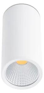 BELA STROPNA SVETILKA LED 15W 60° 2700K FR64198