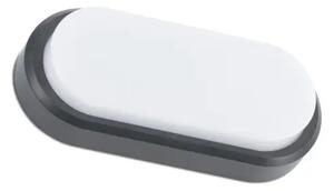 STENSKA SVETILKA FRED XL TEMNO SIVA LED 11W 3000K FR70667