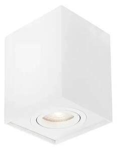 Vgradna svetilka RENDE BELA GU10 1x10 W IP20 220-240 V NL820202