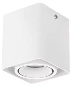 Talna svetilka RENDE BELA GU10 1x10 W IP20 AC220-240 V NL9030421