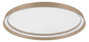 STROPNA SVETILKA ORMI LED /2700-4000K/48W/3361Lm/ŠAMPANJEC RJAVA NL9345701