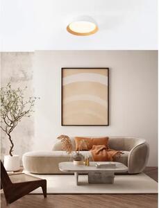STROPNA SVETILKA SIGI LED /3000K/39W/3081Lm/BELA & LESENA NL9030502