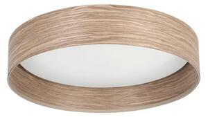 STROPNA SVETILKA 1xLED 24W, PROM 380, LESENA/PEŠČENA BARVA LUPPINERIA 900463