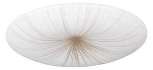 STROPNA SVETILKA 1xLED 10W, PROM 310, BELA/ZLATA NIVES 1 900498
