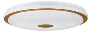 STROPNA SVETILKA 1xLED 35W, Z DALJINSKIM UPRAVLJALNIKOM, ZATEMNLJIVA, BELA/LES LANCIANO 1 900599