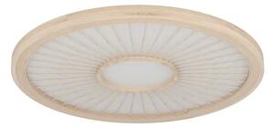 STROPNA SVETILKA 1xLED 36W, PROM 610, BELA/DEHESA LES 390296