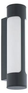 ZUNANJA STENSKA SVETILKA 2xLED 2X6W, ANTRACIT/BELA TONEGO 97119
