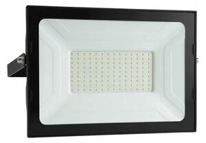 ZUNANJI LED REFLEKTOR 100W, IP65, ČRNA FAEDO 3 900256