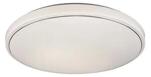 STROPNA SVETILKA BRUCE LED 40/BELA/IP20/3300lm RA2117