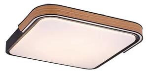 STROPNA SVETILKA ARILD LED 48/MAT ČRNA/IP20/1850lm RA71146