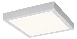 STROPNA SVETILKA DAMEK2 LED 18/BELA/IP20/1430lm RA71076