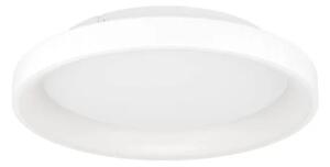 STROPNA SVETILKA 1xLED 20W, 350X350, BELA LORETELLO 901248