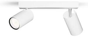 STROPNI/STENSKI REFLEKTOR IDRIS BEL 2X5W IP44 8720169299092