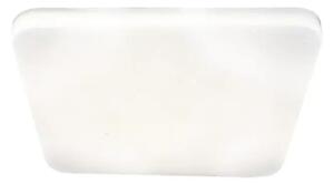 STROPNA SVETILKA LUCAS LED 12/BELA/IP20/900lm RA3072