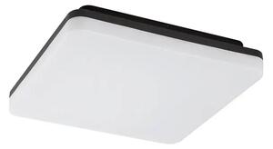PERNIK ZUNANJA STROPNA SVETILKA LED 24/ČRNA/IP54/2400lm RA7250