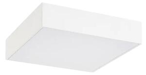 ZUNANJA STROPNA SVETILKA TARTU LED 18/MAT BELA/IP44/1800lm RA7895