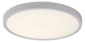 STROPNA SVETILKA PAULOS LED 24/BELA/IP20/2230lm RA71073