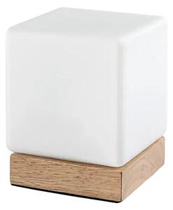 NAMIZNA SVETILKA PIRIT LED 1.2/BUKEV/IP20/40lm RA76003