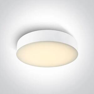 STROPNA SVETILKA BELA 20W CCTV IP65 230V DM67498/W/V