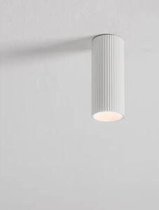 REFLEKTOR COMET GU10 1x10W IP20 NL9011465
