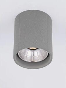 STROPNA SVETILKA RITZ SIVA \r\nLED 10 W 220–240 V 1044 lm \r\n3000K IP65 NL9540227