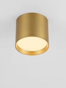STROPNA SVETILKA ZIAZA ZLATA LED 10W 505lm 3000K IP20 NL9695166