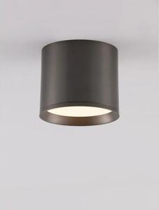 STROPNI REFLEKTOR ZIAZA SREBRNA LED 10W 505lm 3000K IP20 NL9695167