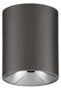 ANETO STROPNI REFLEKTOR SREBRNA LED 10W 600lm 3000K IP20 NL9695153