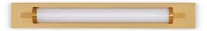 FASKO STENSKA SVETILKA ZLATA LED 13W 908lm 3000K IP44 NL9236302