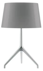 FOSCARINI LUMIERE XXS NAMIZNA SVETILKA ALUMINIJASTA/SIVA FN1910012A_24