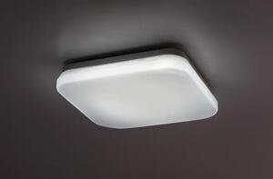 Lowar ZUNANJA STROPNA SVETILKA LED 12W/BELA/IP44/750lm RA77134