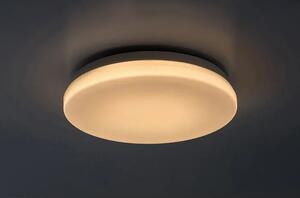 Lowar ZUNANJA STROPNA SVETILKA LED 12W/BELA/IP44/750lm RA77133