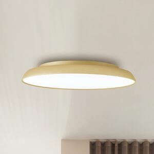 Viokef LED stropna svetilka Art, Ø 45 cm, kremasto-zlata, kovina, Zlata / medeninasta, Dnevna soba / jedilnica, Sodobni