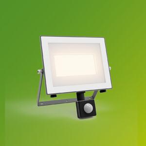 Philips LED zunanji reflektor Lois UE senzor, 24 W, 3.000 K IP65, Siva, Aluminij