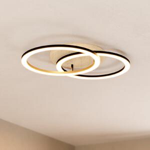 EGLO connect pametna LED stropna svetilka Lomaltas-Z, 58 cm, 4400 lm, zatemnjen, Črna, Dnevna soba / jedilnica, Kovina, Sodobni