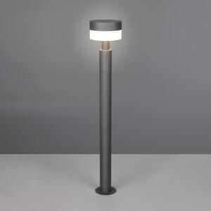 Trio Lighting LED-svetilka za pot Mackenzie, višina 95 cm, antracit, litega aluminija, Siva, Aluminij, Sodobni