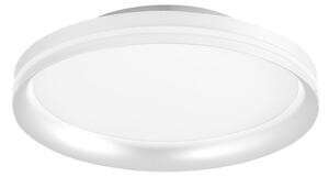 Fabas Luce LED stropna svetilka Isy, bela, Ø 35 cm, kovina, CCT, zatemnilna, zatemnjen, Bela, Dnevna soba / jedilnica, Kovina, Sodobni
