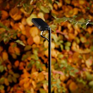 Luceplan LED-luč Flia, 120 cm visoka, črna, plastika, Črna, Plastika, Dizajn