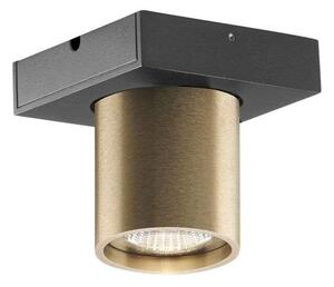 Light-PointLIGHT-POINT - Focus Mini 1 LED Stropna Svetilka 2700K Brass LightPoint