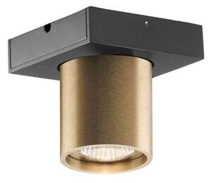 Light-PointLIGHT-POINT - Focus 1 LED Stropna Svetilka 2700K Brass LIGHTPOINT