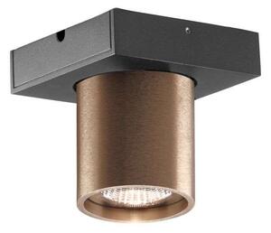 Light-PointLIGHT-POINT - Focus 1 LED Stropna Svetilka 2700K Rose Gold LIGHTPOINT