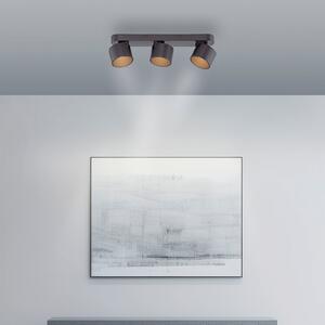 PURE LED stropni reflektor Cup, črn, dolžina 56 cm, kovina 3-flg., zatemnjen, Črna, Dnevna soba / jedilnica, Kovina, Sodobni