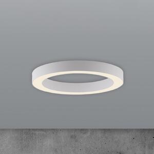 PURE LED stropna svetilka Lines, Ø 35 cm, bela, CCT, zatemnjen, Bela, Dnevna soba / jedilnica, Kovina, Sodobni