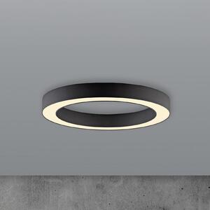 PURE LED stropna svetilka Lines, Ø 35 cm, grafit, CCT, daljinski upravljalnik, zatemnjen, Črna, Dnevna soba / jedilnica, Kovina, Sodobni