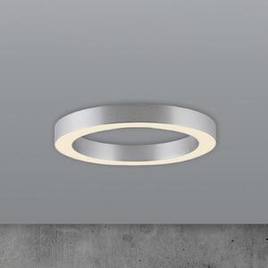 PURE LED stropna svetilka Lines, Ø 35 cm, srebrna, CCT, zatemnjen, Kovinska, Dnevna soba / jedilnica, Kovina, Sodobni