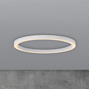 PURE LED stropna svetilka Lines, Ø 70 cm, bela, CCT daljinski upravljalnik, zatemnjen, Bela, Dnevna soba / jedilnica, Kovina, Sodobni