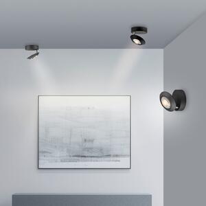 PURE LED stropna svetilka Oculis, črna, Ø 15 cm, železo/steklo, zatemnjen, Črna, Dnevna soba / jedilnica, Kovina, Sodobni