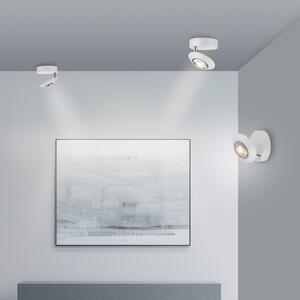 PURE LED stropna svetilka Oculis, bela, Ø 15 cm, železo/steklo, zatemnjen, Bela, Dnevna soba / jedilnica, Kovina, Sodobni