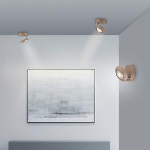 PURE LED stropna svetilka Oculis bronasta, Ø 15 cm železo/steklo, zatemnjen, Bronasta / starinska medenina, Dnevna soba / jedilnica, Kovina, Sodobni